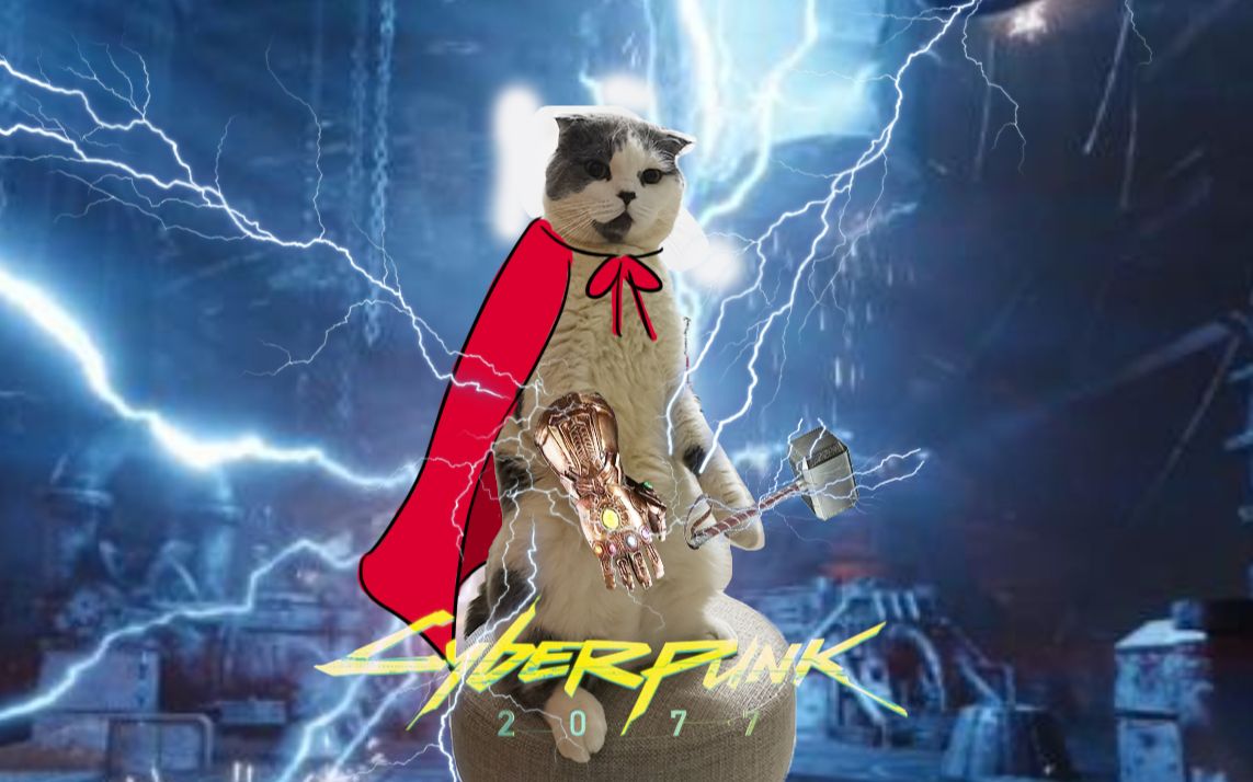 《赛博朋克2077》猫星人表情包特供版~_哔哩哔哩 (゜-゜)つロ 干杯