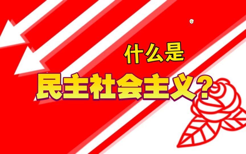 什么是社会民主主义/民主社会主义?社会主义国际原则声明(1)哔哩哔哩bilibili