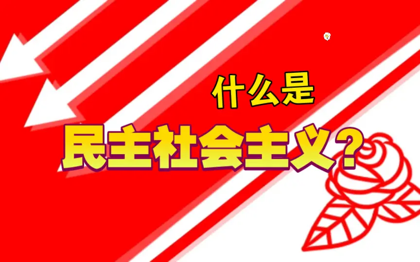 什么是社会民主主义/民主社会主义？社会主义国际原则声明（1）_哔哩哔 