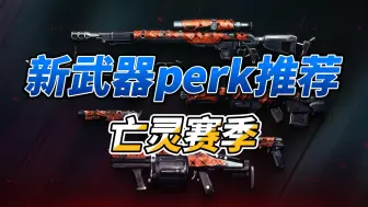 Download Video: 亡灵赛季武器perk推荐【命运2】