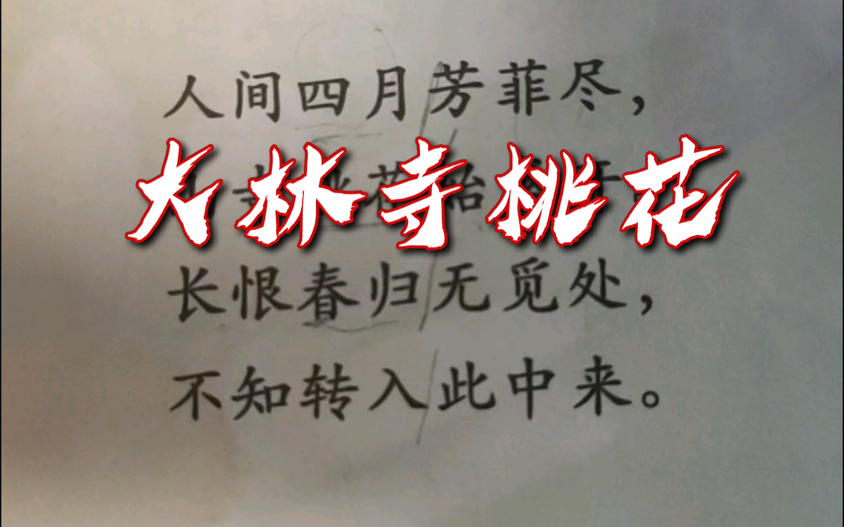 古诗词背诵9:白居易《大林寺桃花》春天去哪里了?