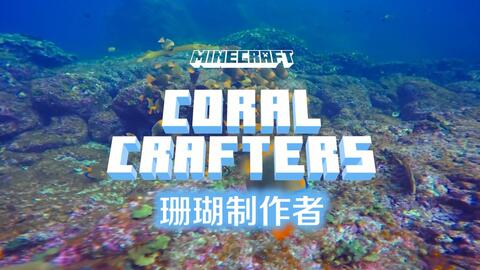 珊瑚制作者 Minecraft 改善海洋计划 新闻资讯 Minecraft 我的世界 中文论坛 手机版 Powered By Discuz