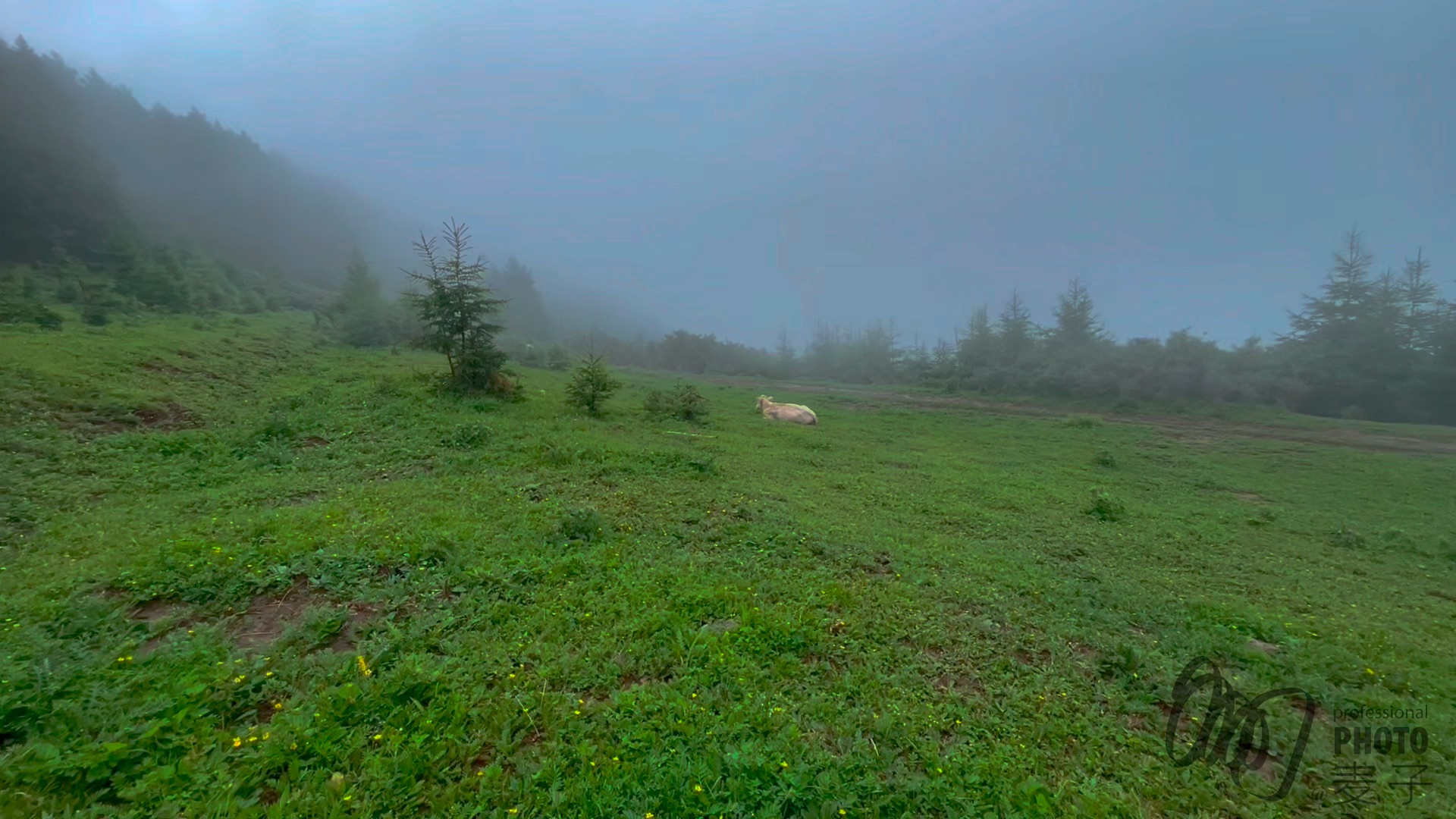 [图]山西忻州芦芽山，野道爬山，顶上的迷人风景。