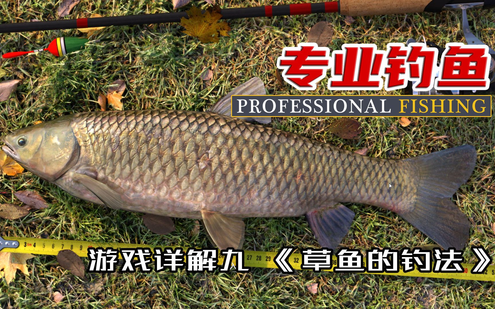 《专业钓鱼》|《Professional fishing》游戏详解九 草鱼的钓法哔哩哔哩bilibili