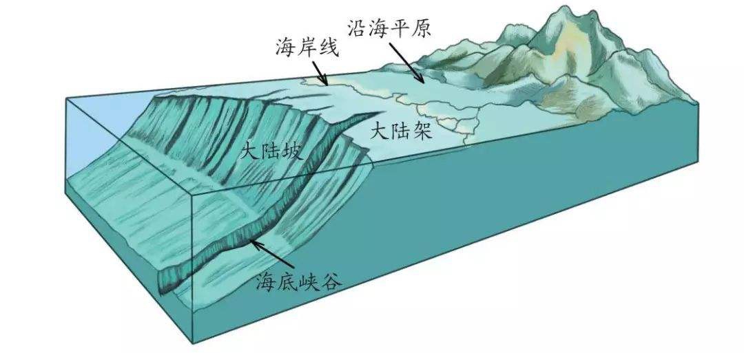 海底地形的形成哔哩哔哩bilibili