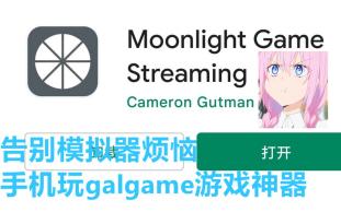 [图][Moonlight使用教程]直接在床上玩gal游戏