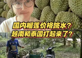 Скачать видео: 国内榴莲价格跳水？越南和泰国打起来了？