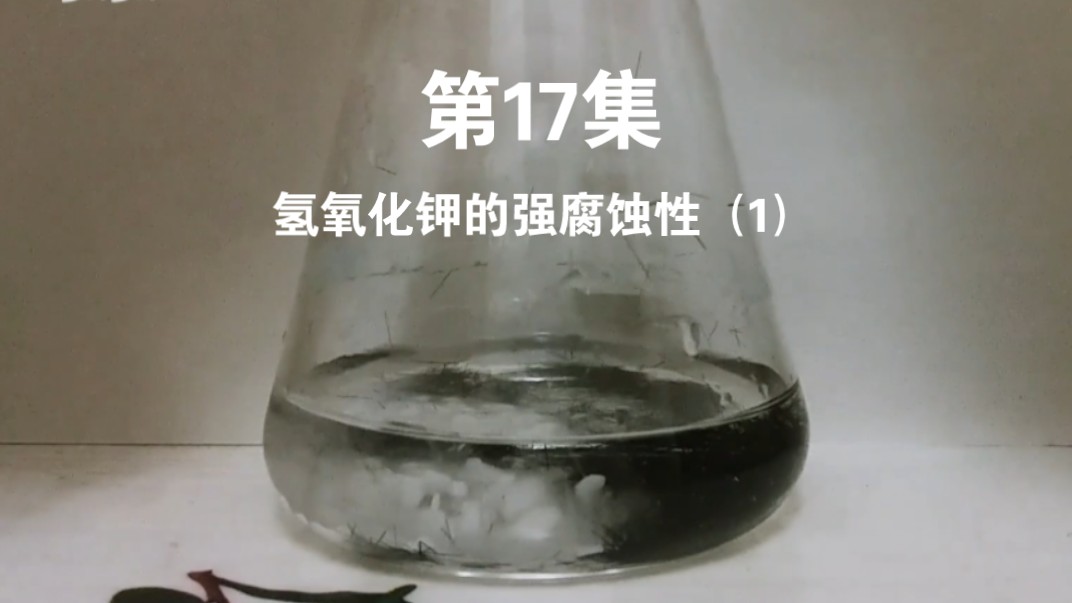 CE17:氢氧化钾的强腐蚀性(1)氢氧化钾与头发丝反应哔哩哔哩bilibili