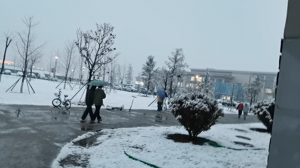 安阳学院原阳校区,我来大学的第一场雪,雪覆盖的校园@安阳学院原阳