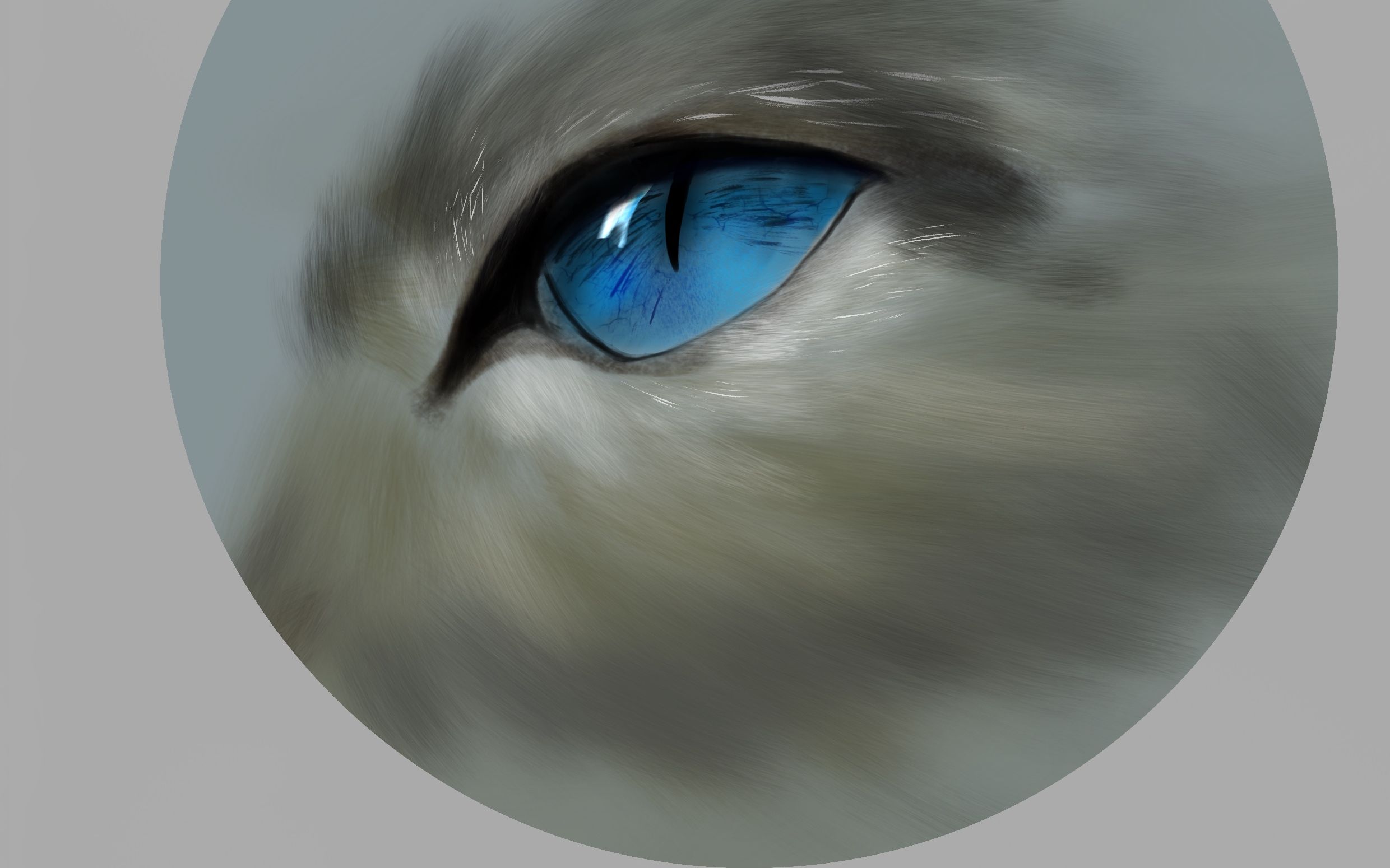 【速写】猫咪眼睛