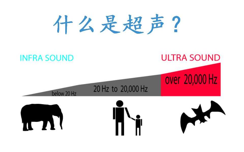 【医学成像100】24. 什么是超声?*美国医学物理师*西安电子科技大学哔哩哔哩bilibili