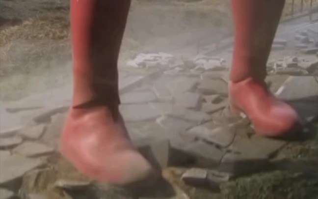 麦克斯奥特曼的脚