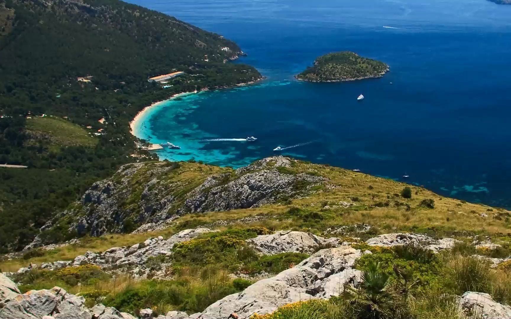 大海数学压轴专题