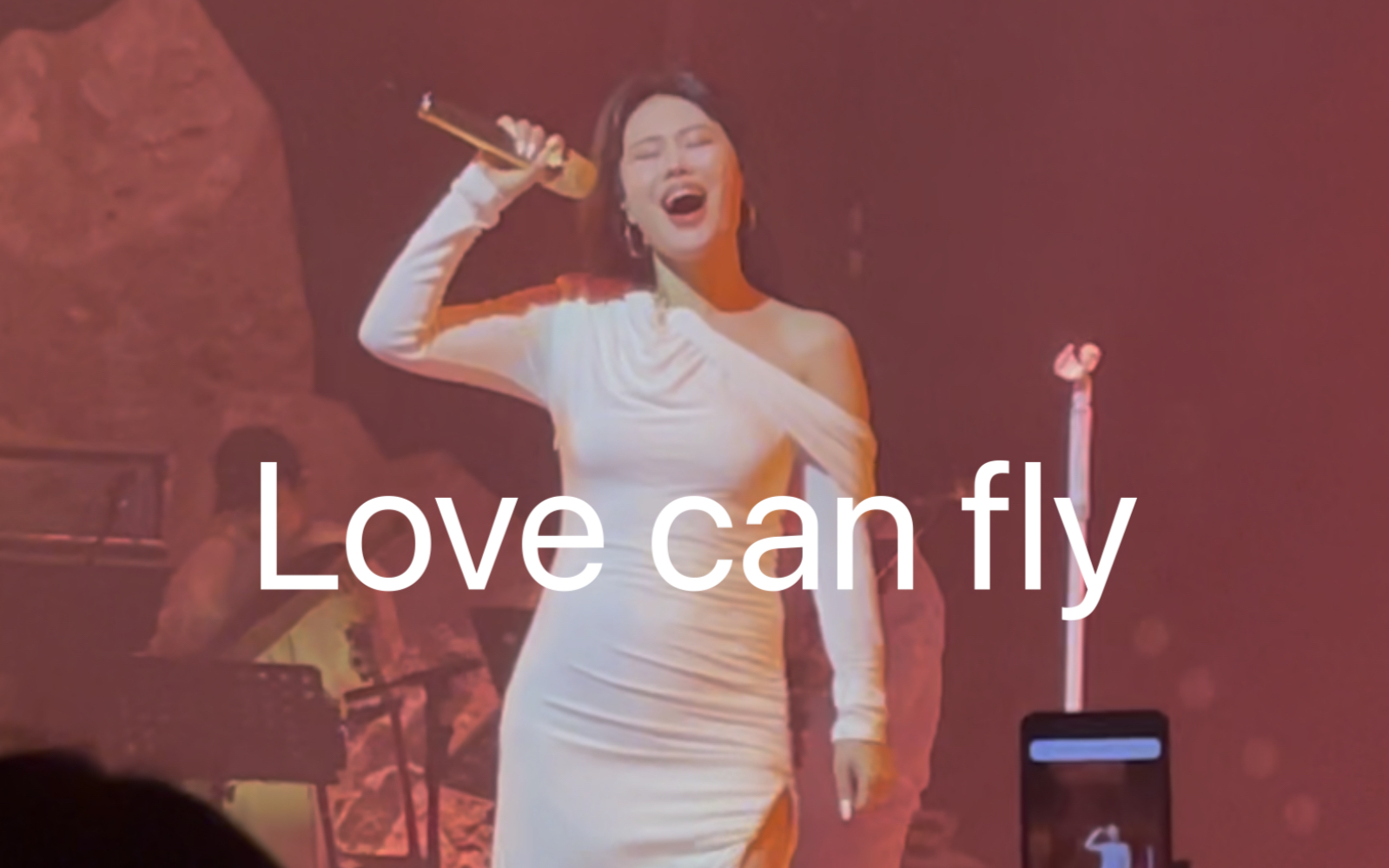 [图]【袁娅维】有哨音的 Love can fly丨成都演唱会