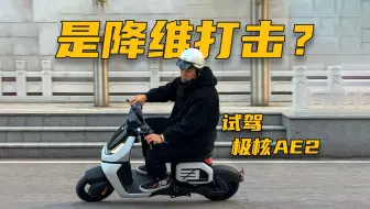 Descargar video: 售价3999元起！极核家族最实用电自AE2试驾报告