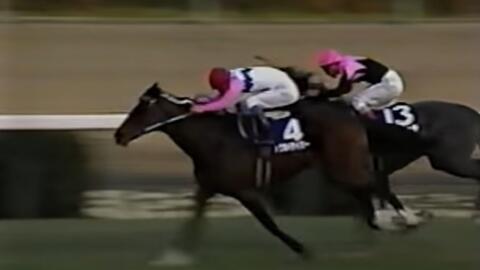 有馬記念 哔哩哔哩 Bilibili