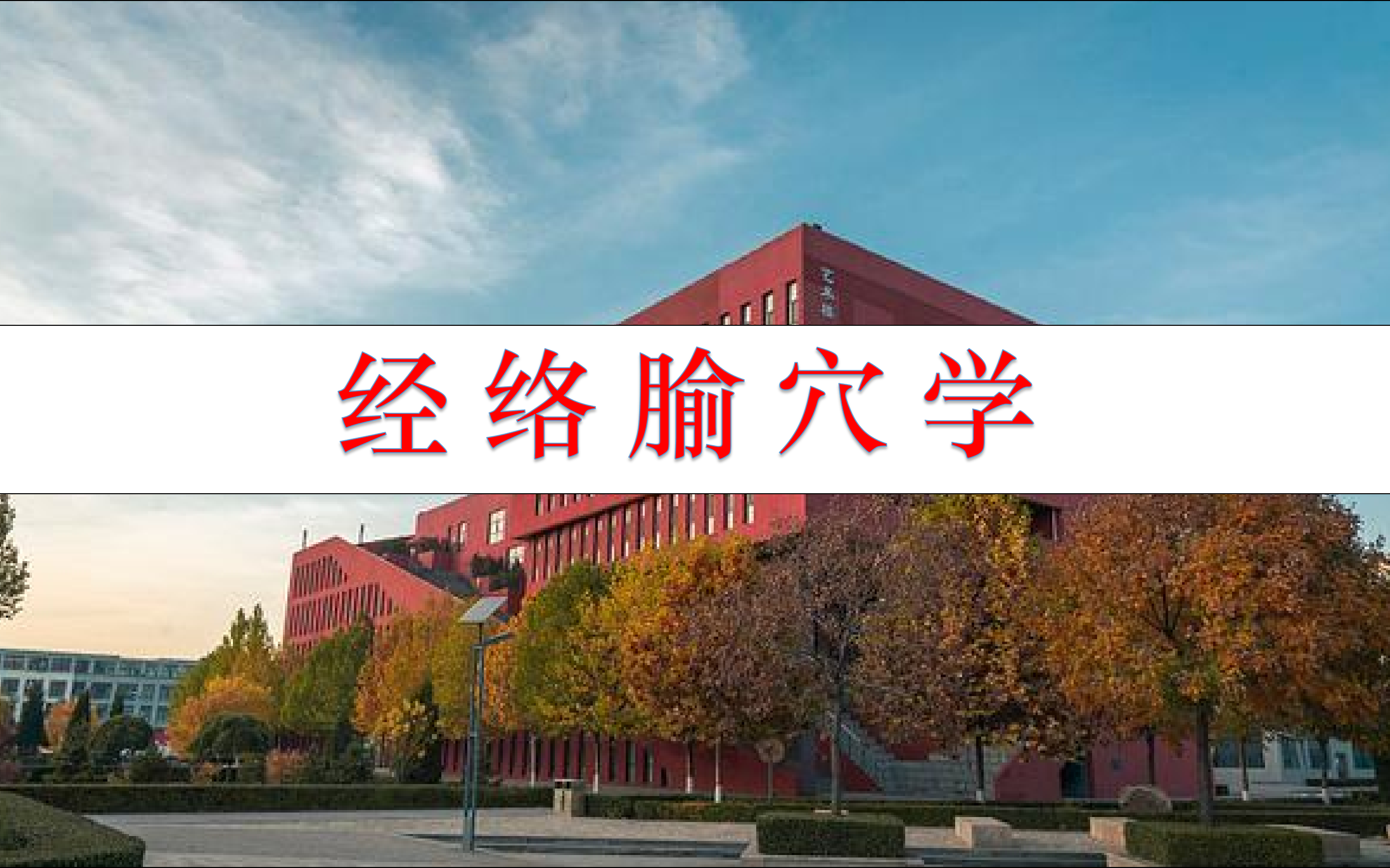 经络腧穴学天津中医药大学 116讲哔哩哔哩bilibili