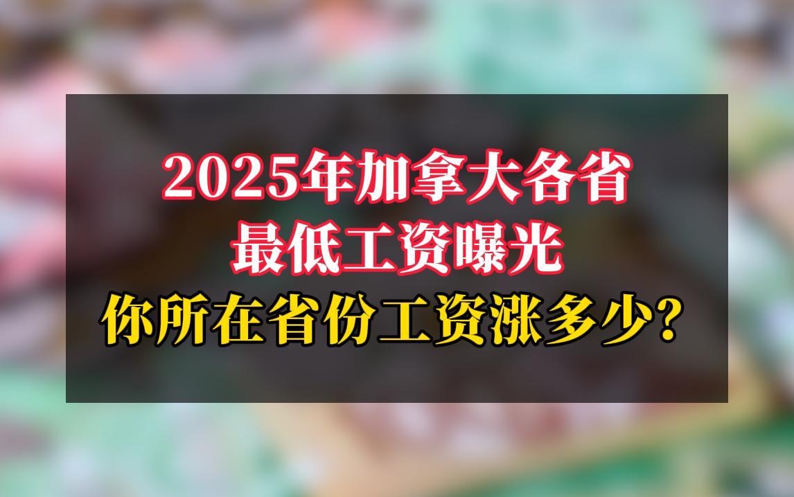 2025年加拿大各省最低工资大曝光! 你所在省份工资会涨多少?哔哩哔哩bilibili