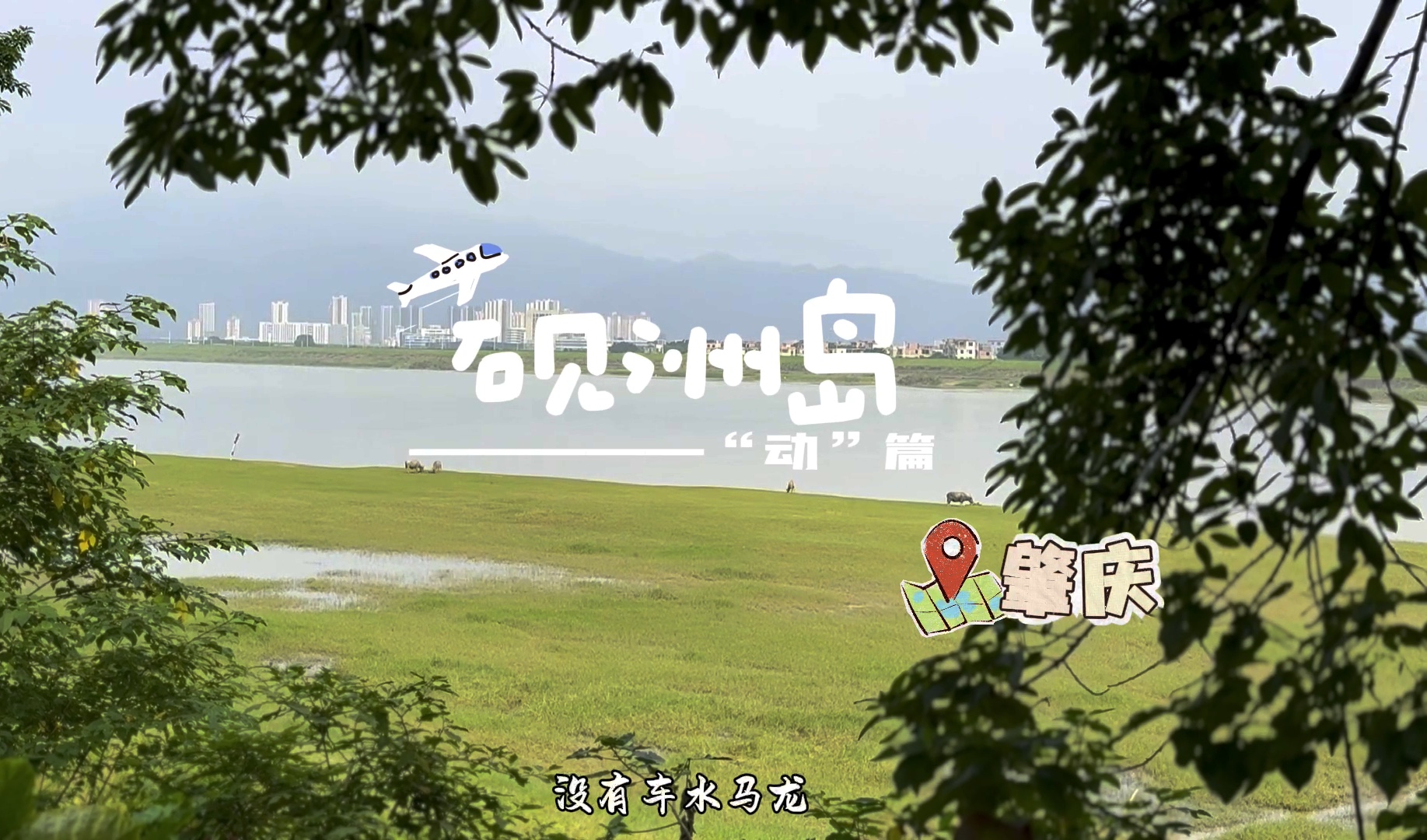 肇庆砚洲岛也太好玩了!