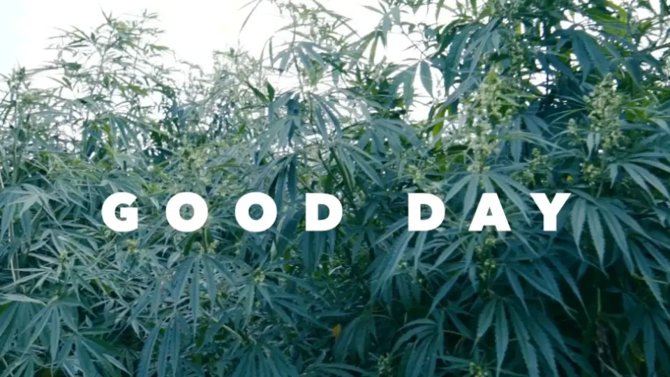 GOOD DAY / 舐達麻(prod.GREEN ASSASSIN DOLLAR)_哔哩哔哩_bilibili