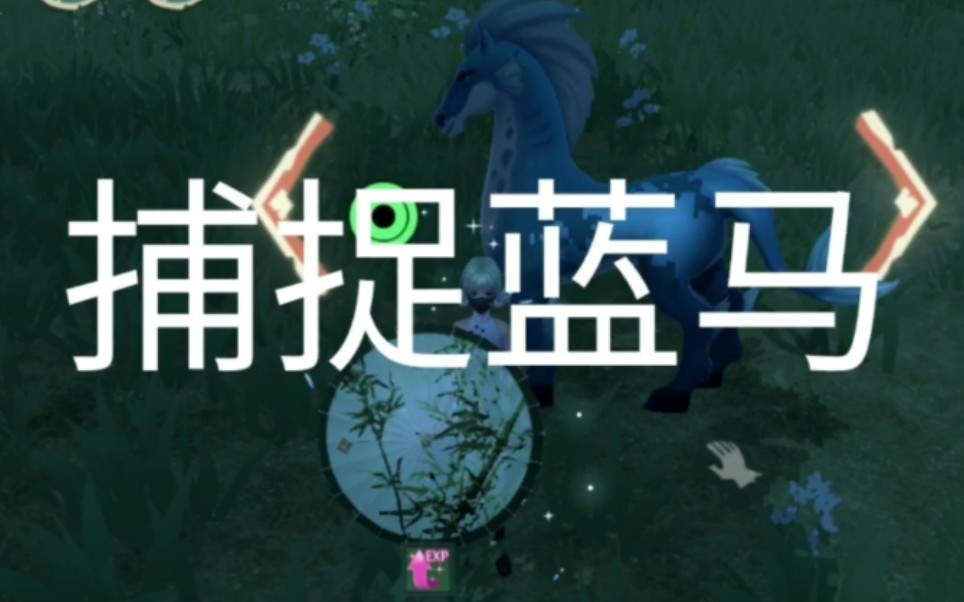 创造与魔法 逮虾解说 第3期 蓝马捕捉哔哩哔哩bilibili