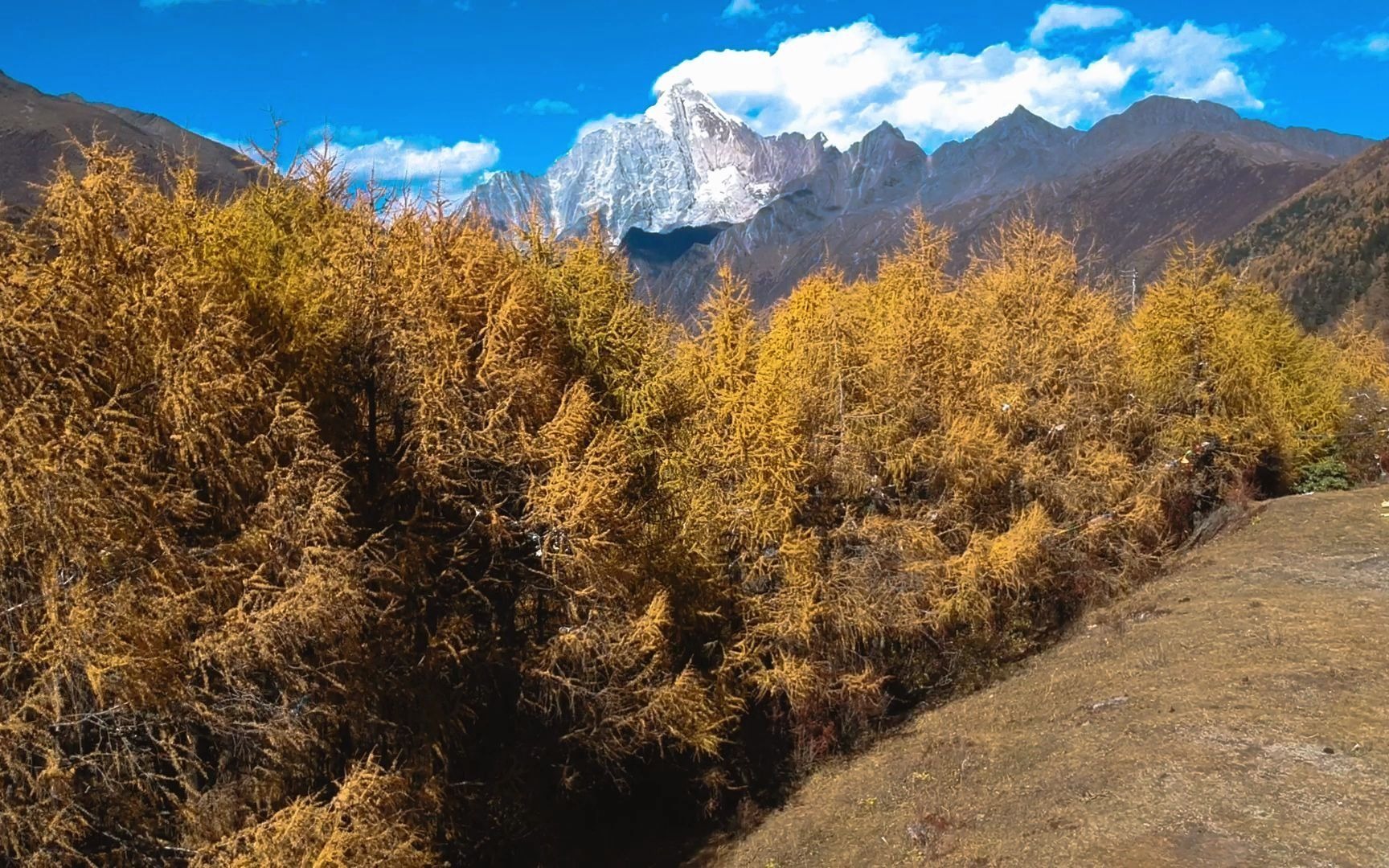 四姑娘山秋日风光