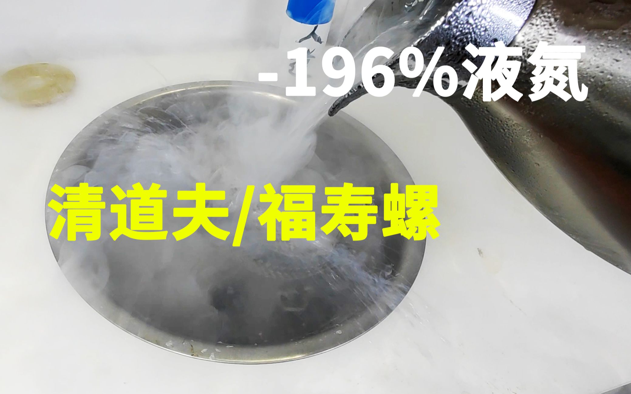 清道夫和福寿螺,在196℃液氮里,会怎么样?能复活?人道的费用谁承担?哔哩哔哩bilibili