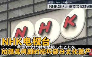 Download Video: 【日语听力】【日语字幕】【特殊词汇注解&部分标注读音】NHK电视台损坏部分文化遗产