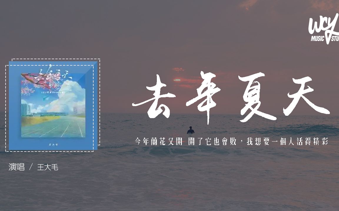 [图]王大毛 - 去年夏天 (DJ阿卓remix版)「今年兰花又开 开了它也会败，我想要一个人活得精彩」(4k Video)【動態歌詞/pīn yīn gē cí】#