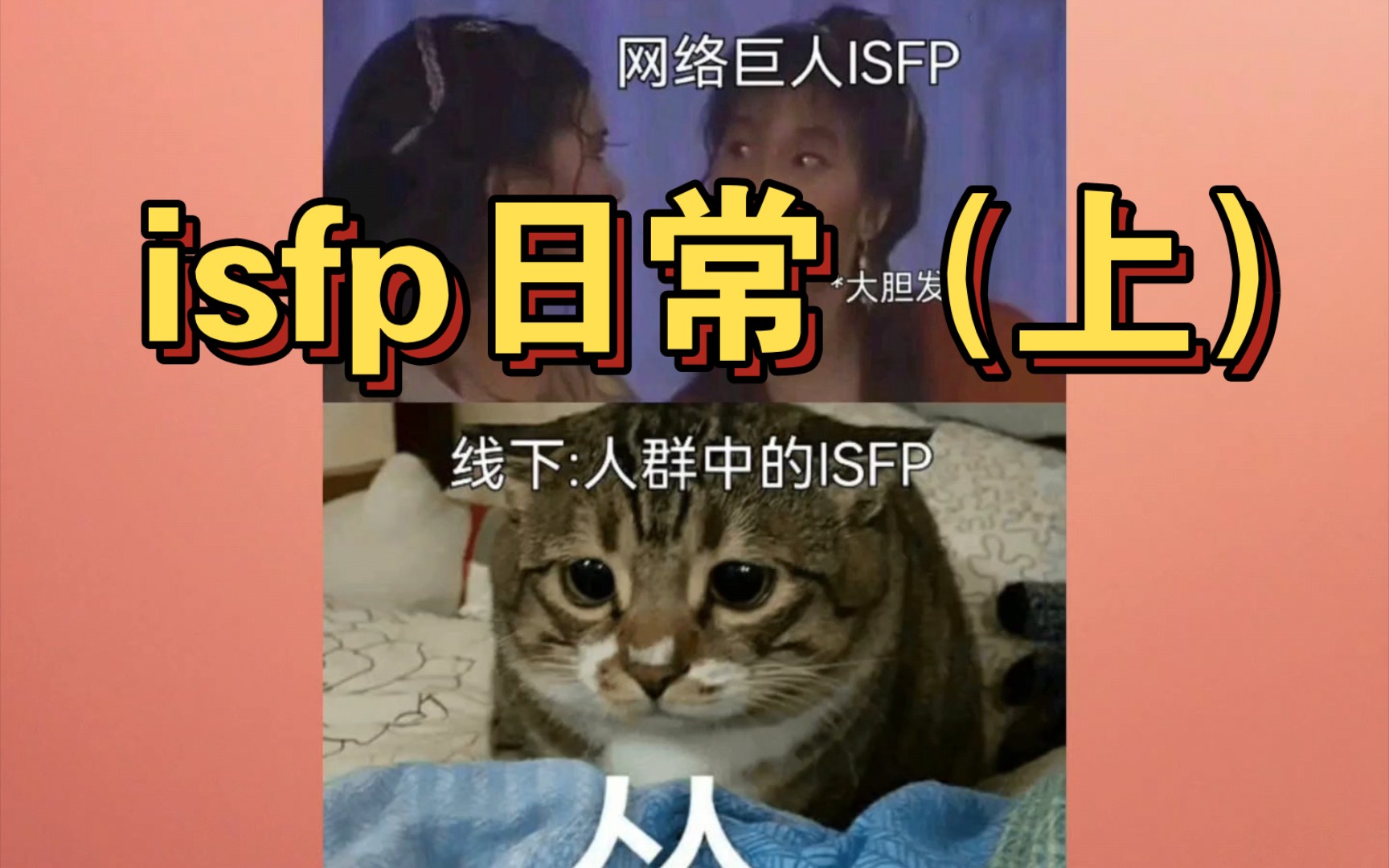 isfp人格每天都在干什么哔哩哔哩bilibili