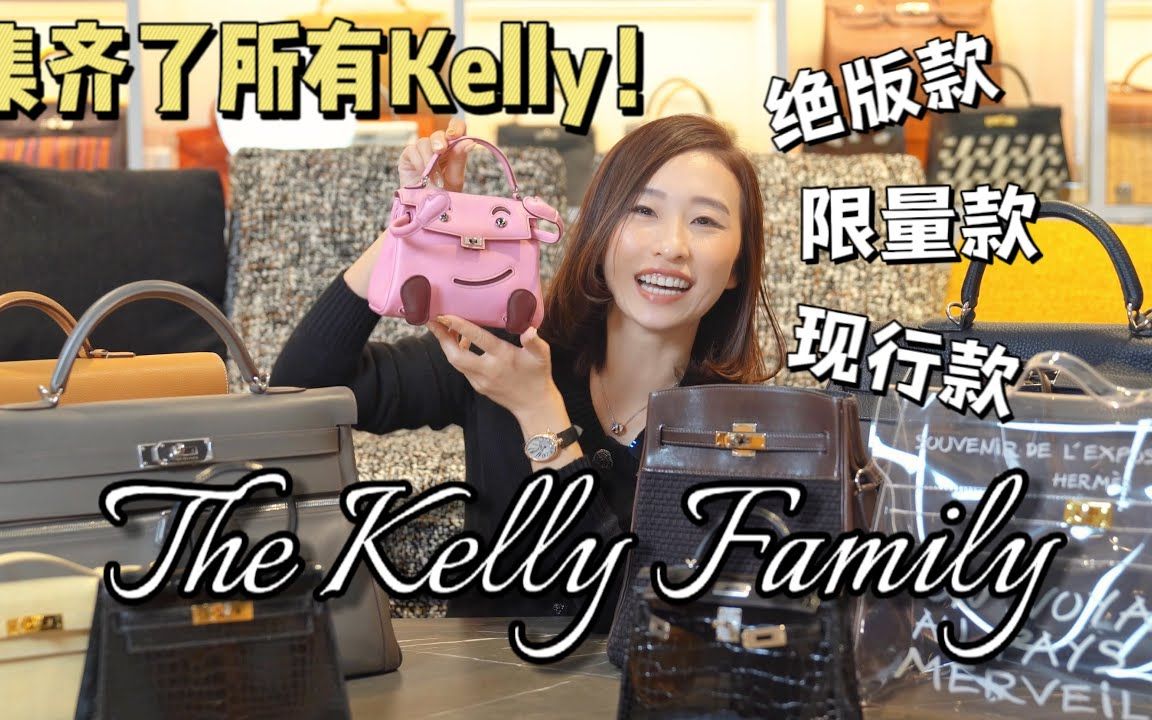 一次讲完22只Kelly!挑战全网最全的爱马仕Kelly合集 [ENG SUB]哔哩哔哩bilibili