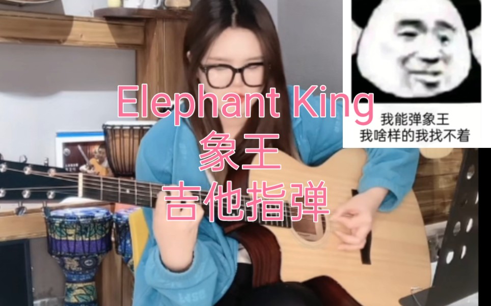 【吉他指弹】Elephant King 象王哔哩哔哩bilibili