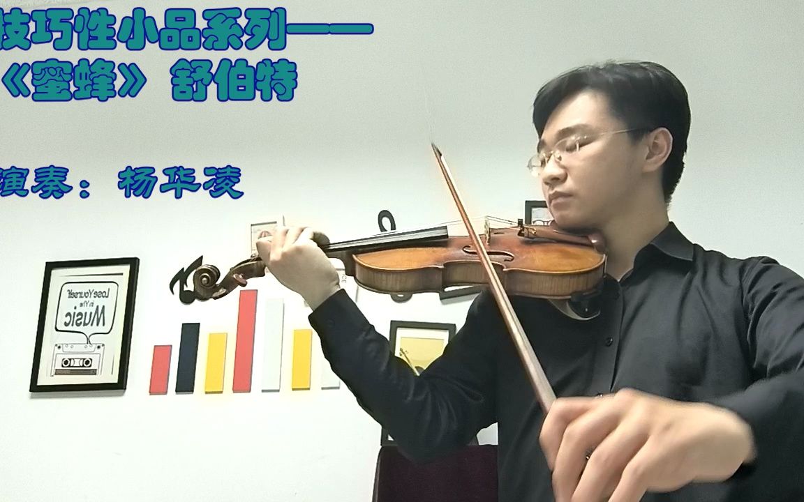 小提琴技巧性音乐小品 舒伯特《蜜蜂》