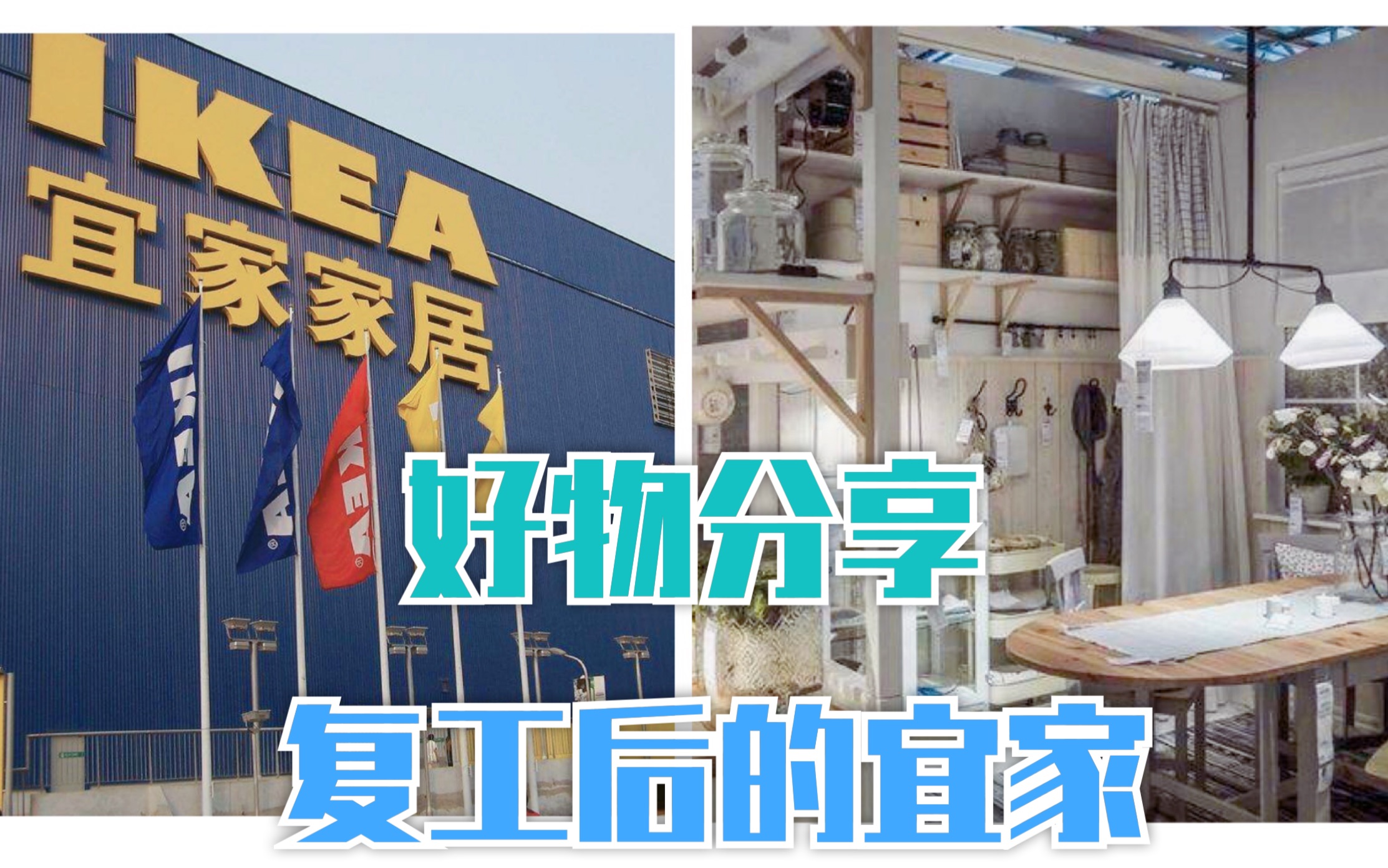 【宜家Ikea】必买好物分享|种草视频|复工后的宜家哔哩哔哩bilibili