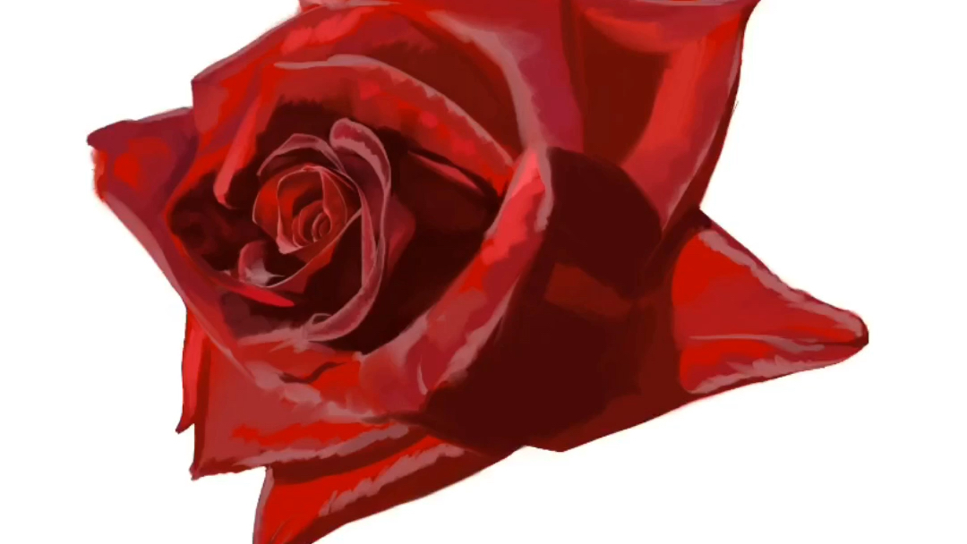 【板绘】混更 丝绒红玫瑰