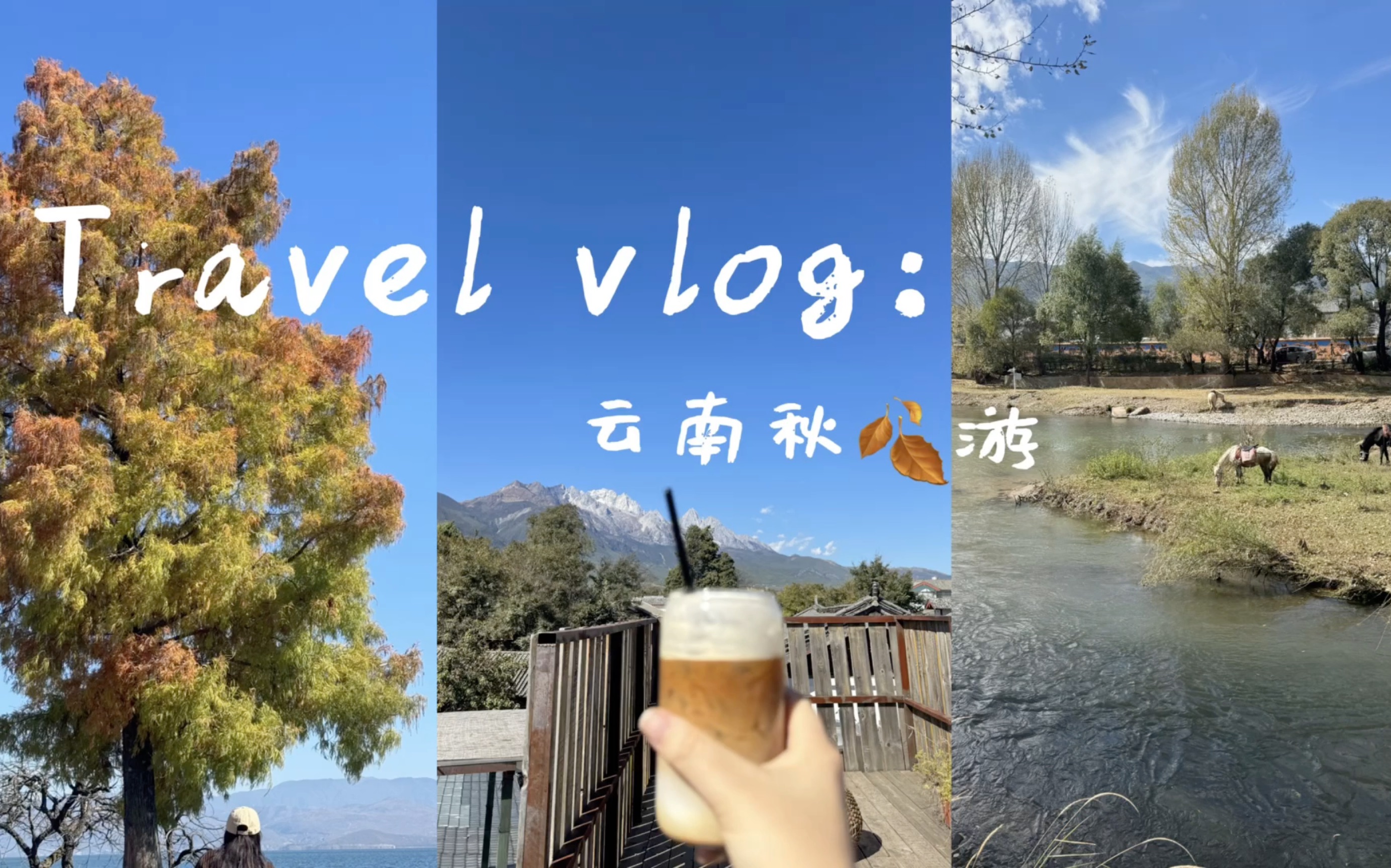 Travel vlog/丽江大理三日秋游/雪山脚下的古村镇/沙溪漫步/洱海海西生态廊道骑行哔哩哔哩bilibili