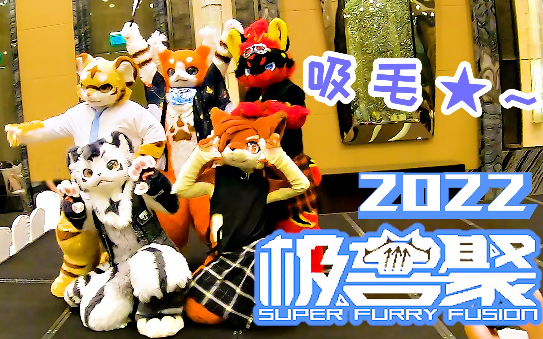 吸毛3天,治好了我的精神内耗丨2022极兽聚涡协方差vlog