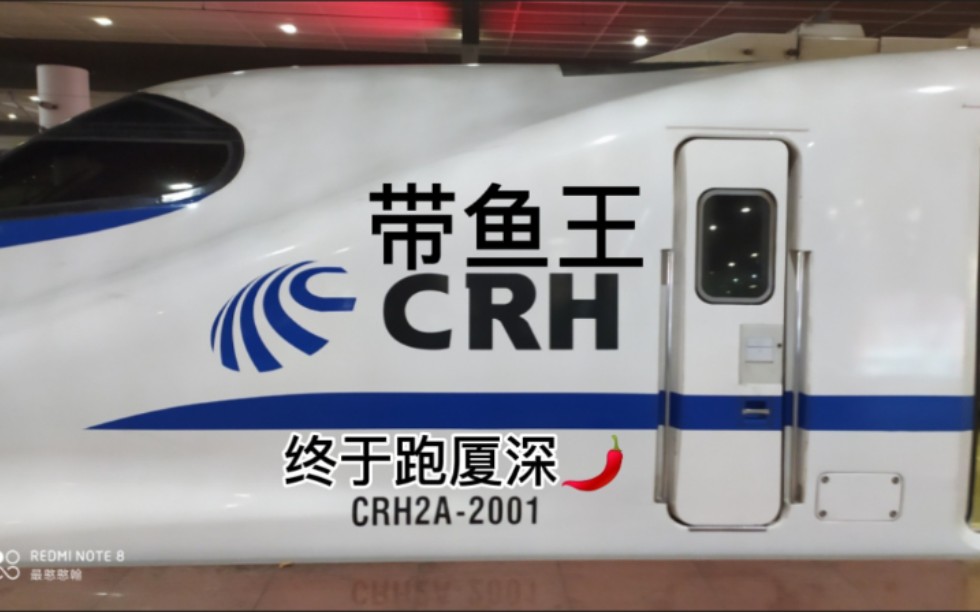 带鱼王crh2a2001来到了深圳北百年不走厦深的上局带鱼王终于来深圳了