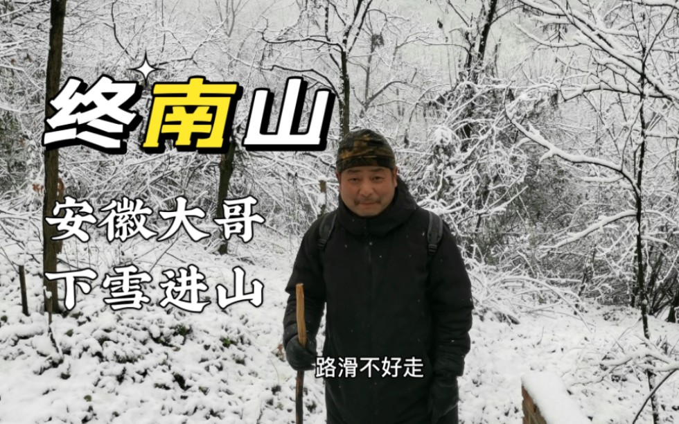 终南山又下雪了,安徽大哥冒雪进山,这个美丽的空间之上还有空间哔哩哔哩bilibili