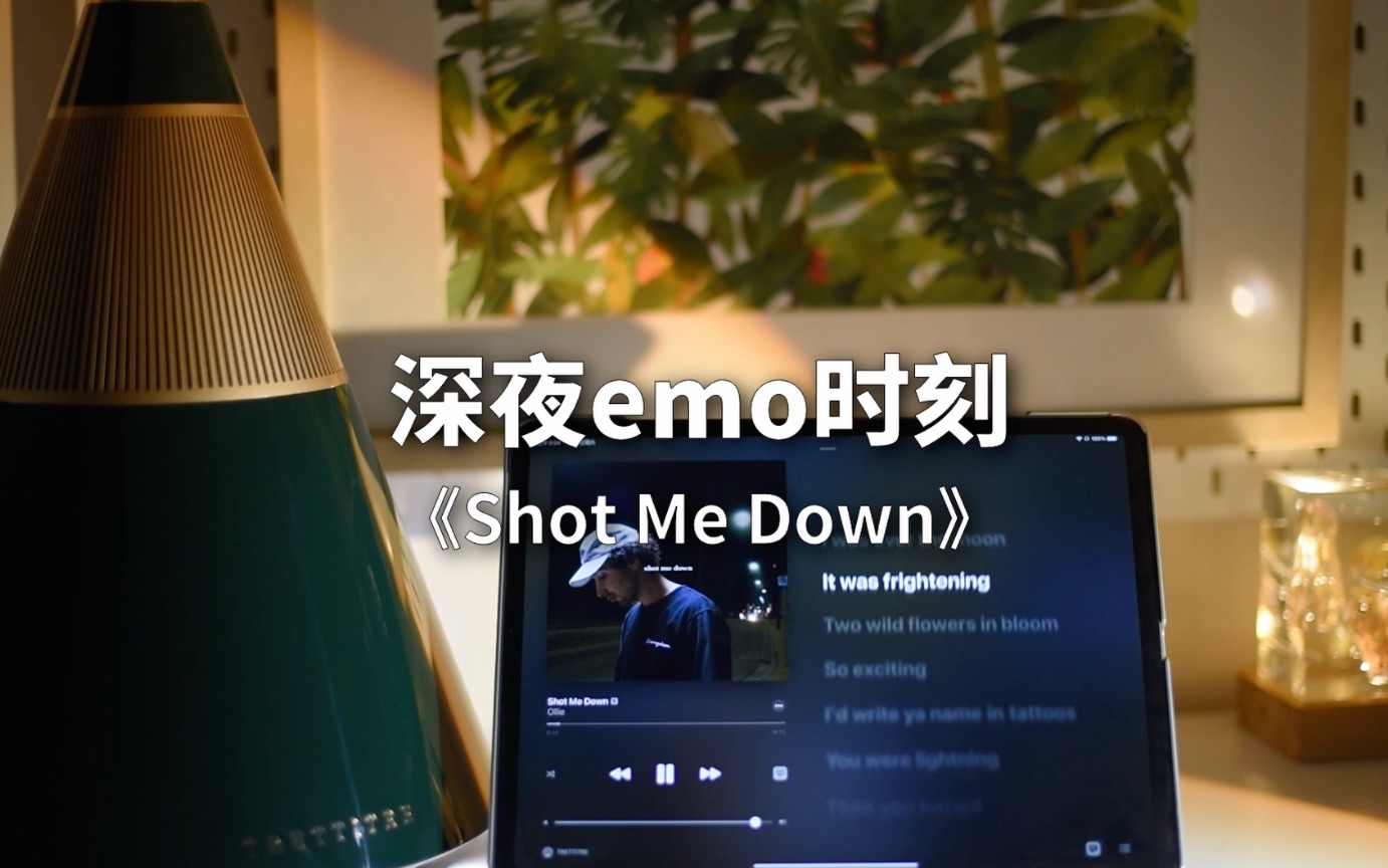 [图]循环一整天emo一整天《Shot Me Down》