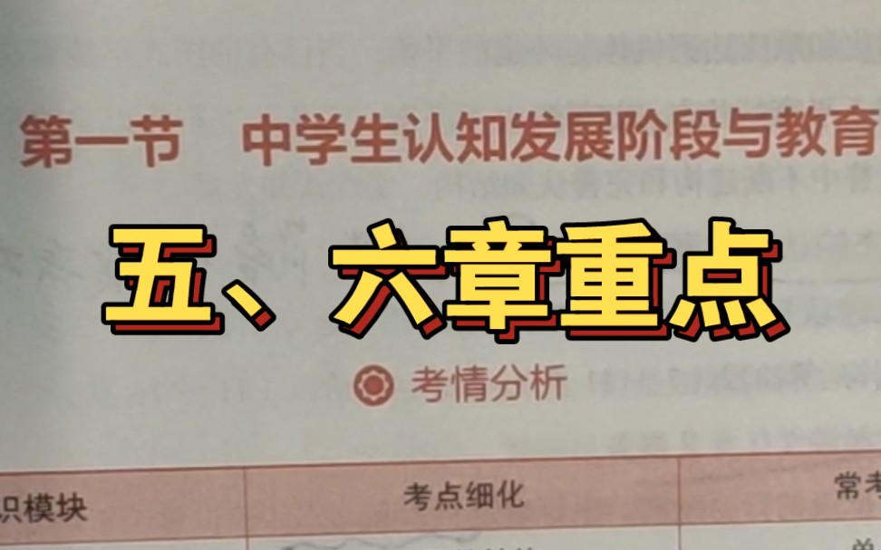 皮亚杰认知发展阶段理论、维果斯基教育三问题中学生障碍性问题心理辅导的主要方法哔哩哔哩bilibili