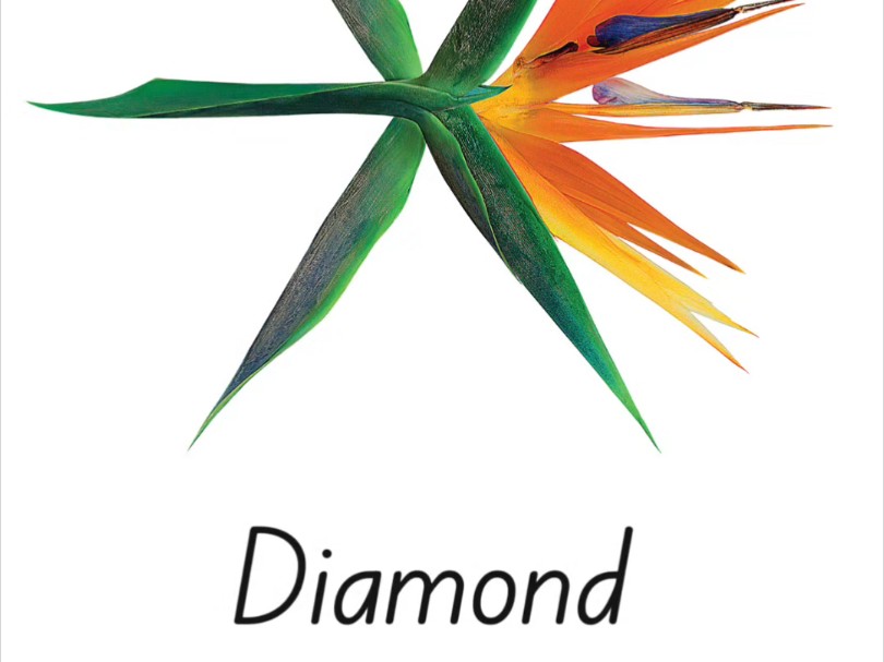 韩语歌音译-exo的diamond