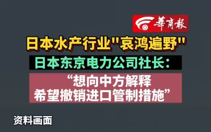 日本水产行业"哀鸿遍野" 日本东京电力公司社长:想向中方解释 希望撤销进口管制措施哔哩哔哩bilibili