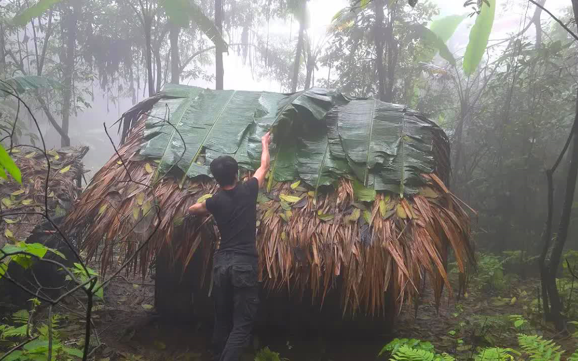 [图]（更新中）【苏门答腊】荒野大神独居野外合集