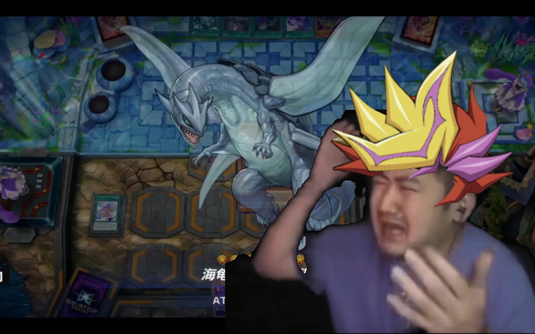 作哥的访问码语者被海龟吃掉而崩溃不已