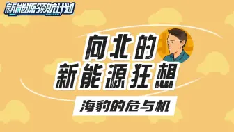 【向北的新能源狂想】比亚迪海豹的危与机