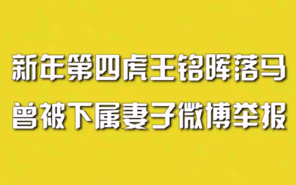 新年第四虎王铭晖落马,曾被下属妻子微博举报哔哩哔哩bilibili