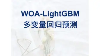 WOA-LightGBM回归预测，基于鲸鱼算法优化LightGBM的多变量回归预测，多输入单输出，可输出特征重要性图。
