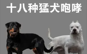 下载视频: 十八种猛犬咆哮的声音  哪种声音具有震撼力？