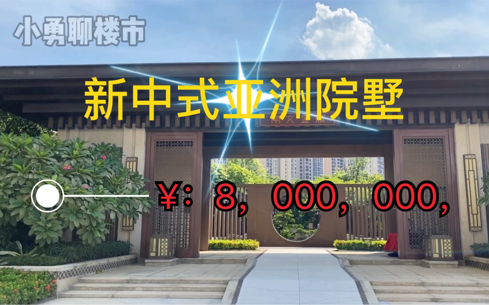 新亚洲风院墅,总价800万享天地城央院落生活,使用率超200%哔哩哔哩bilibili